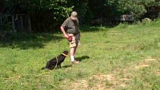 Información Robert fixes Delivery to Hand problem Noticias
