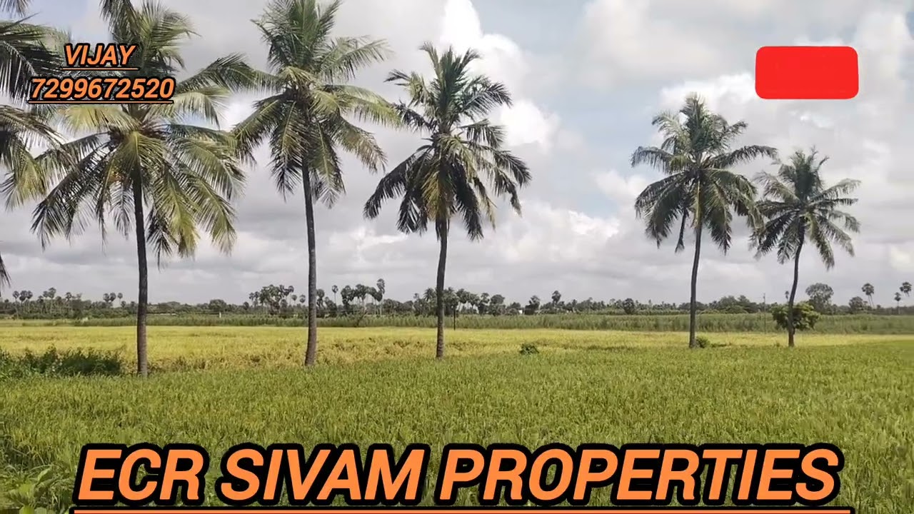 165///ECR SIVAM PROPERTIES 3 acre farm 🌴 land  coconut farm
