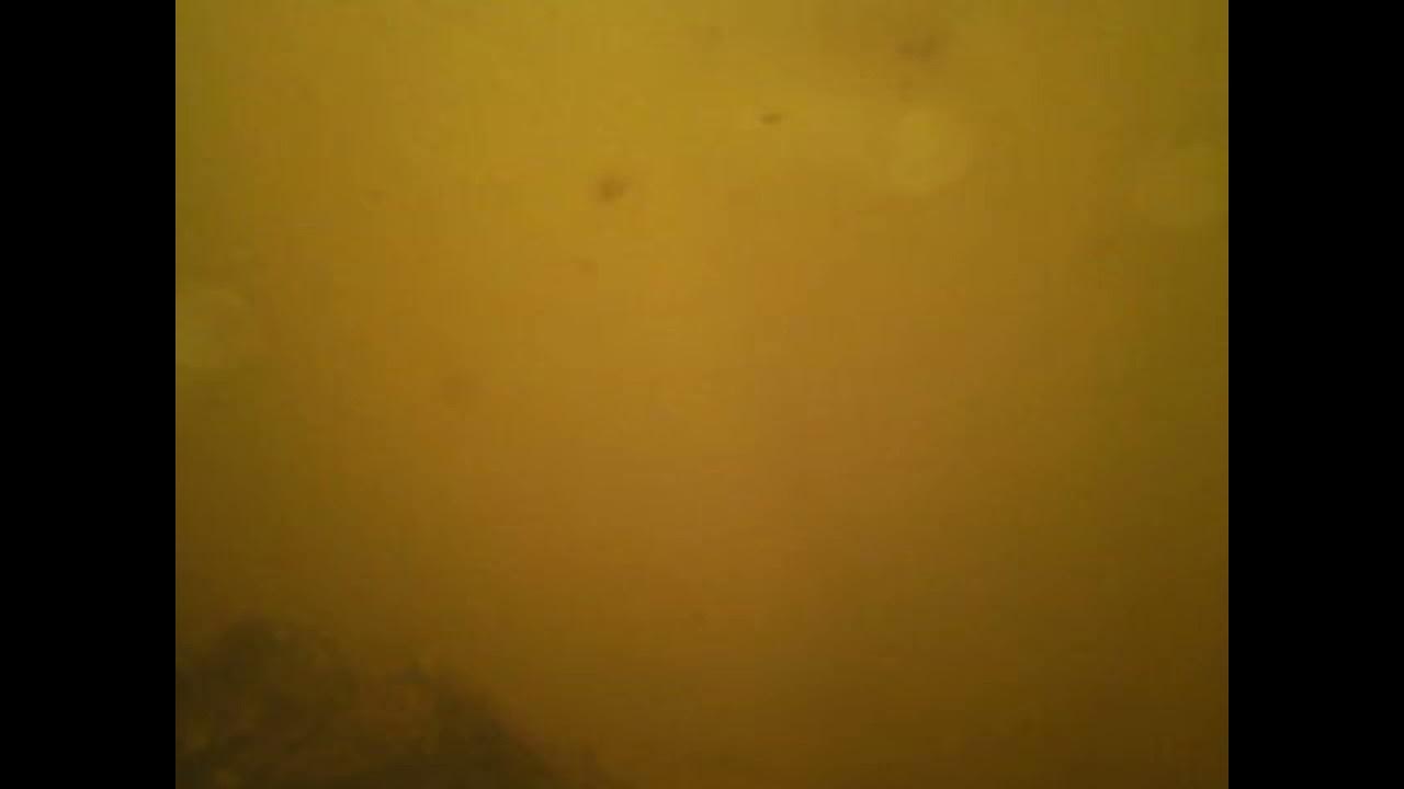 Underwater Camera Cape Coral Canal YouTube