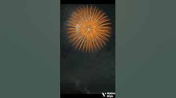 Beautiful Firecracker 💥🧨#firecracker #fireworks #happynewyear #trending #shorts #2025 #shortvideo