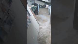 Flash Flood! Wave of Water Destroys Local Library
