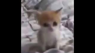 once upon a december - sped up