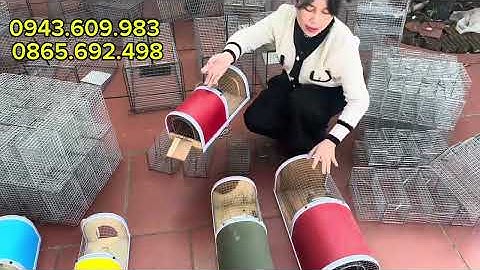 ❤️🐭LỒNG BẪY CHUỘT ĐƯỜNG MÒN, CỐNG NHUM, SÓC ĐẤT, LỒNG CHUỘT THÔNG MINH, LỒNG CẦY CHỒN CÁO ❤️🦊