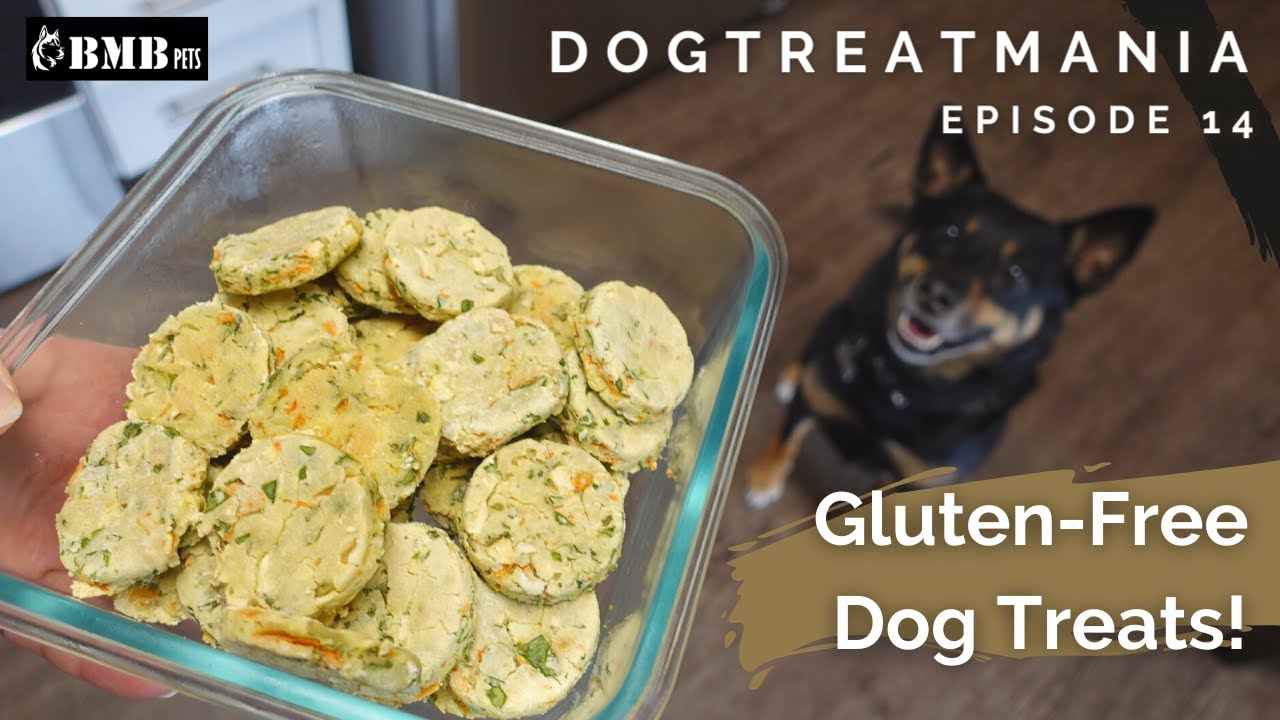 GlutenFree Dog Treats! DogTreatMania Ep 14 YouTube