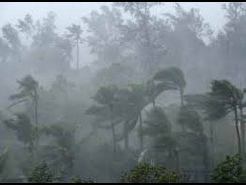 heavy wind and rain in khammam strong wind uproots heavy wind and rain in khammam strong wind uproots