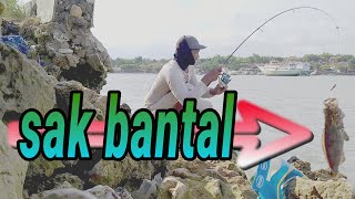#vlog 64| mancing mania surabaya | spot legenda #kerajaan #kerapu | PELTIM KAMAL MADURA |