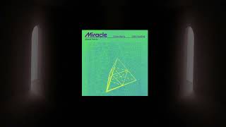 Calvin Harris & Ellie Goulding - Miracle (Boterk Remix)
