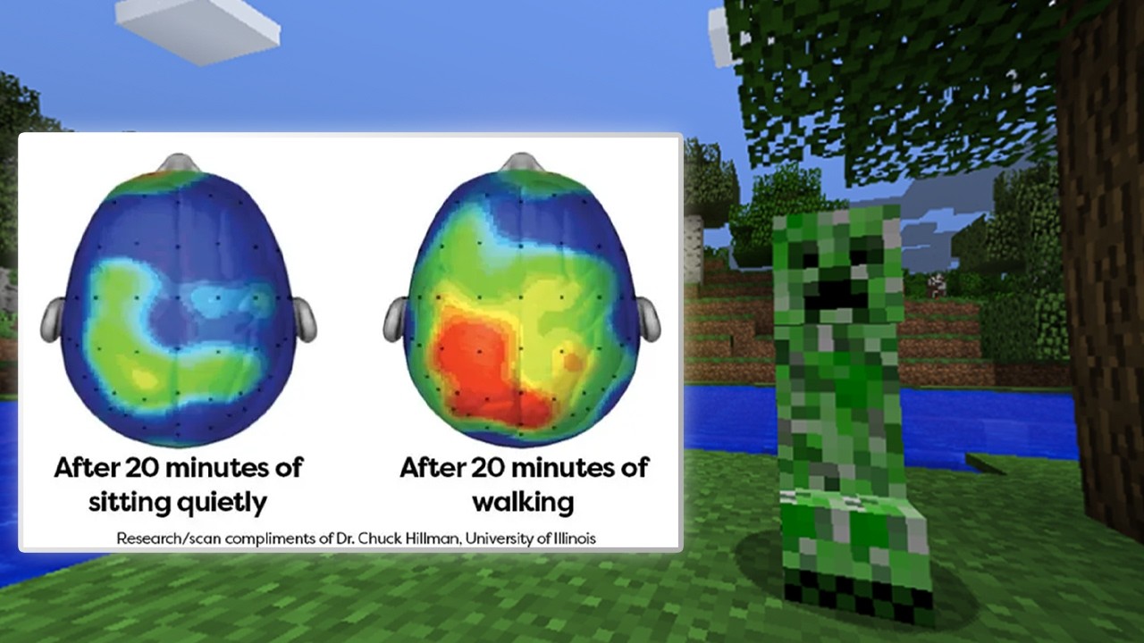 Прогулки неправильно поняты