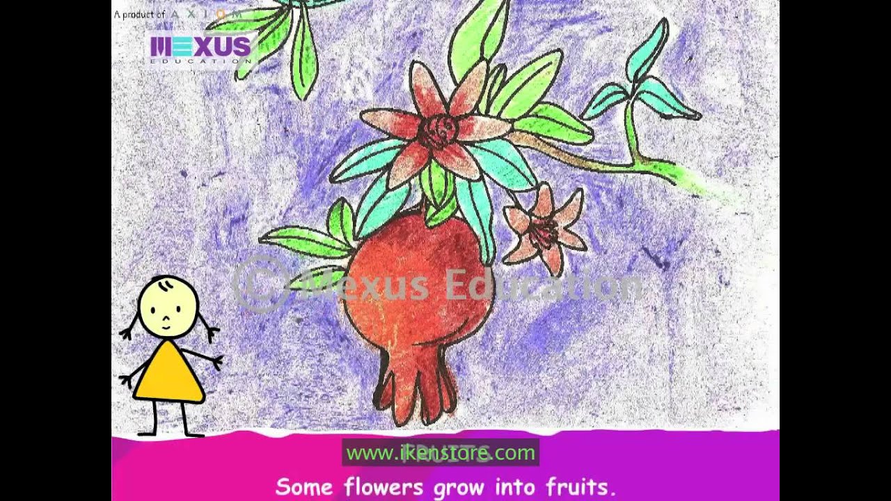 Biology Learning: Learn about the parts of Plants - YouTube