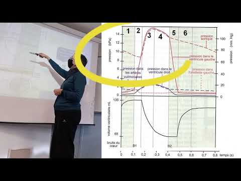 Vidéo: Pendant quelle phase du cycle cardiaque entend-on s2 ?