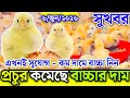 6, June 2026 ব্রয়লার ও সোনালী বাচ্চার আজকের বাজার দর মুরগির বাচ্চার পাইকারি বাজার দাম জানুন