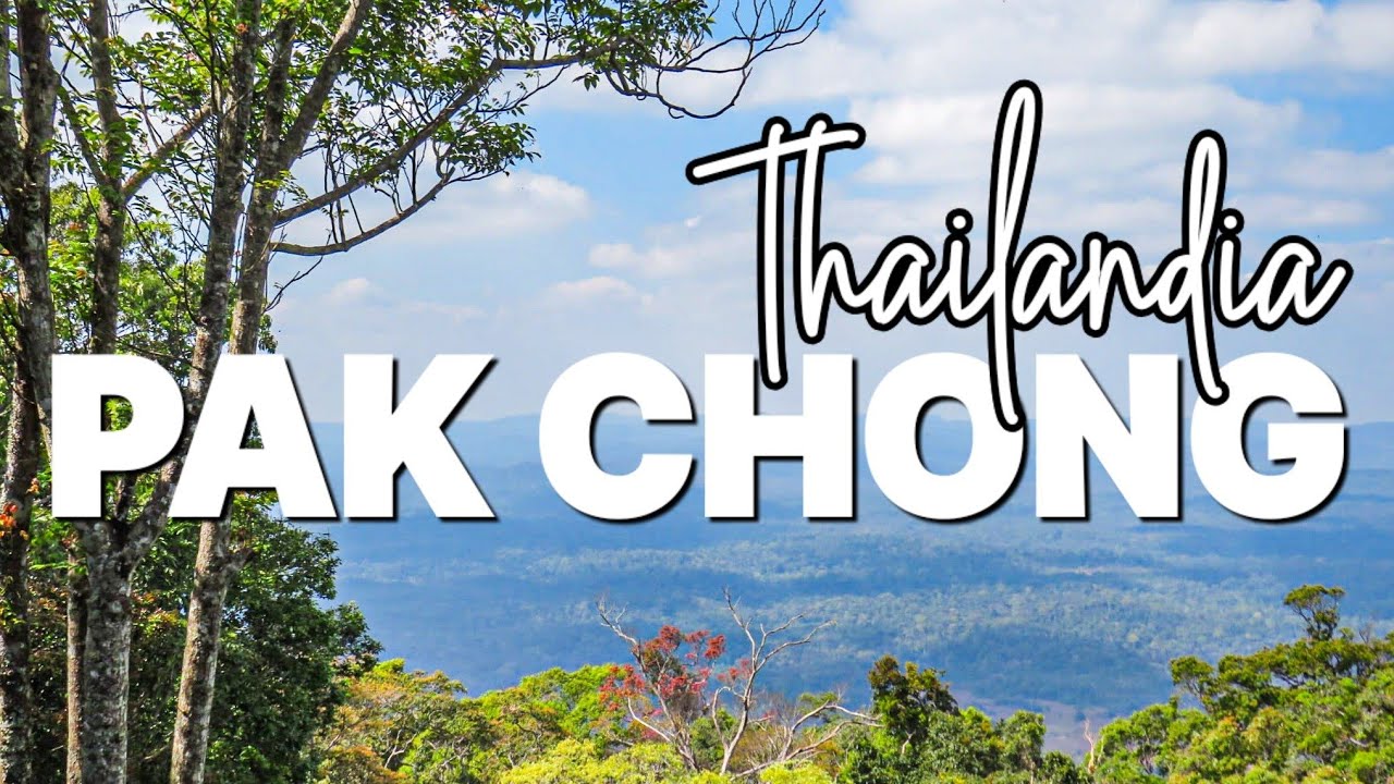 Immersi nella NATURA sulle DUE RUOTE: il Khao Yai National Park di PAK CHONG 💚