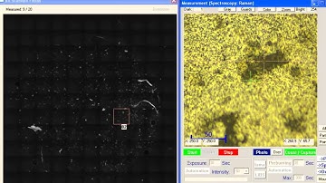 raman particle identification