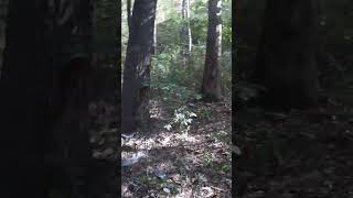 Creek Bed Sign
