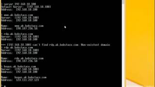 Suse Testing DNS