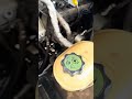 Claptrap SAI delete pt6 (uses lug wrench to remove stubborn nut)