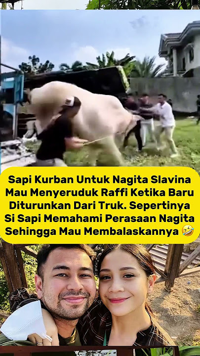 Detik-Detik Sapi Nagita Seruduk Raffi Ahmad Saat Turun dari Truk, Netizen: Paham Banget! #raffiahmad