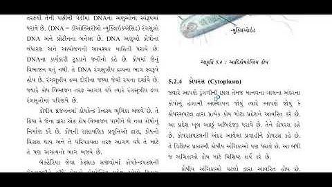 Std-9 Science Ch-5 part-2 sajivno payano aekam(સજીવનો પાયાનો એકમ)