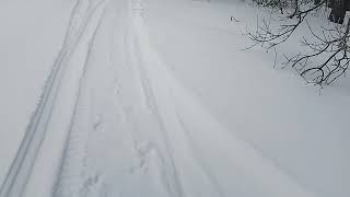 картинка: гуляем...22.12.24