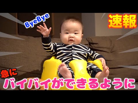 【成長】急にバイバイができるようになりました。【生後7ヶ月】Yune can now wave bye-bye
