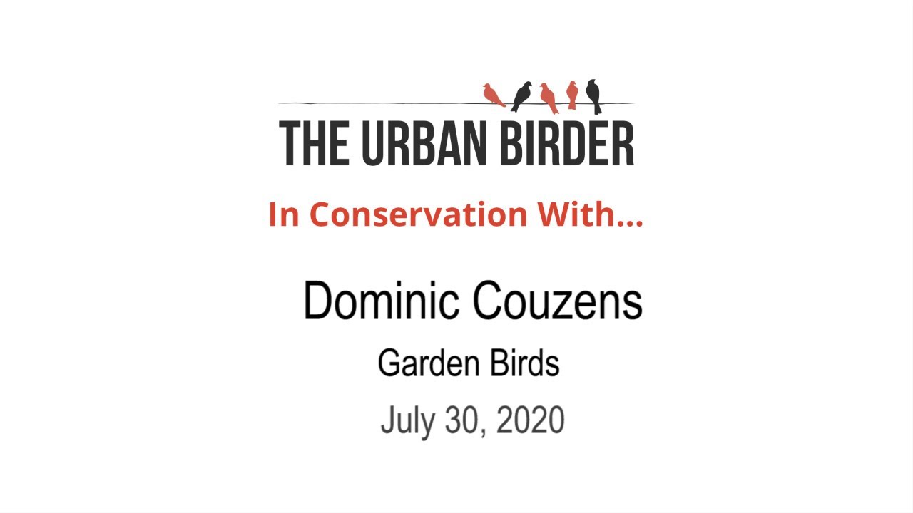 In Conservation With… Dominic Couzens