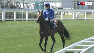 1,000,000gns colt WISE APPROACH stars on debut at Ascot!