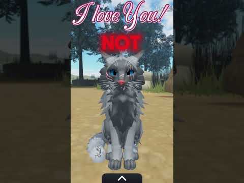 Bro got rejected