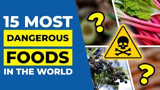 15 Most Dangerous Foods in the World by Heart Disease Code 3,273 views 1 month ago 14 minutes, 17 seconds