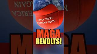 Chip Franklin Does It Again As MAGA REVOLTS!