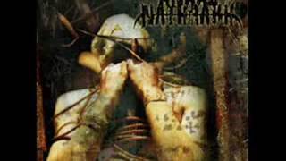 Anaal Nathrakh - The Supreme Necrotic Audnance