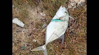 Tips For Mancing Sambil Menikmati Pemandangan Tatik 0