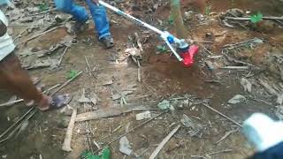 VST PUBERT W4 BRUSH CUTTERS DEMO