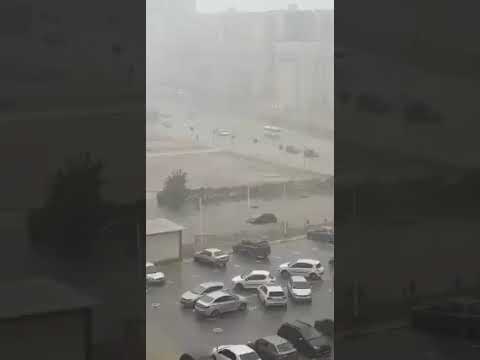 الجزائري فؤاد بوسطوان أفضل مديرتنفيذي لأبحاث الذكاء الاصطناعي في أمريكا وفهل تعرفونه