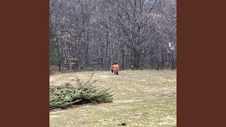 You Notice the Trees