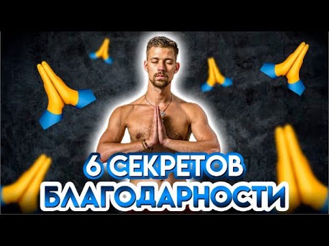 6 СЕКРЕТОВ БЛАГОДАРНОСТИ | Никита Метелица | БИОХАКИНГ