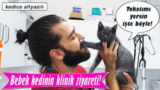 İLK AŞISINI OLDU!  Bebek Kedi Rio’nun Klinik Macerası!  #inanoğlu #konuşankedi