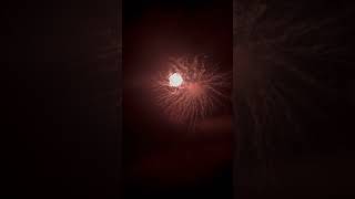 Ds08 8Inch Red Peony With Brocade Crown Pistil