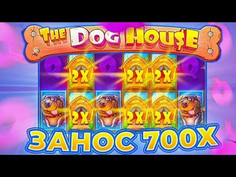 Дог хаус мегавейс демо dog houses info