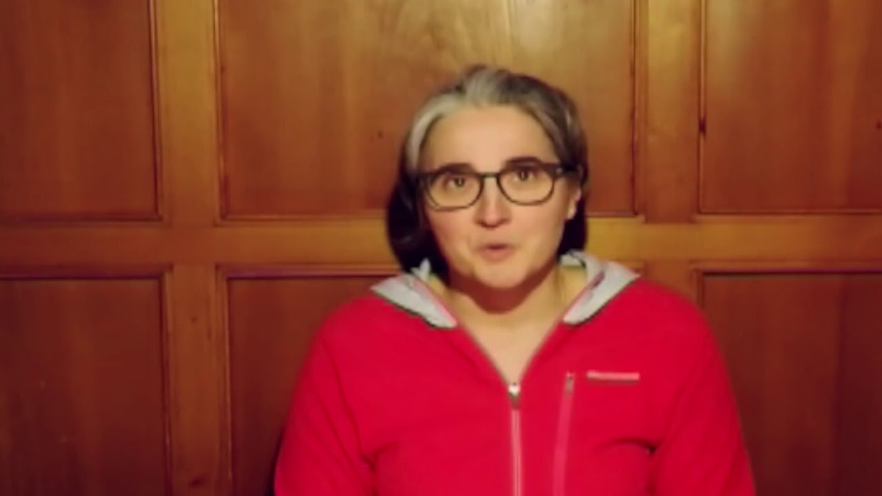 Praxis Erfahrungen aus Deutschland - Friederike Kramer  -  JA zu "Lehrpläne vors Volk"