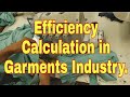 Efficiency calculation in garment industry efficiency calculation in production line efficiency