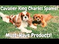 MUST-HAVE Products for Cavalier King Charlies Spaniels