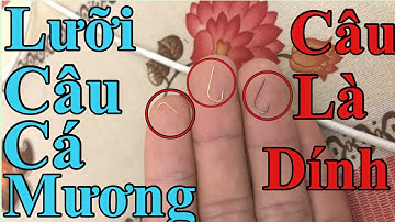 Câu Cá Mương Sông Bằng Cần Tay Mồi Bột Và Lưỡi Câu Mương | Nguyen Hung ( Ditch Fishing Hook )
