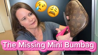 My Louis Vuitton Mini Bumbag Was Stolen...