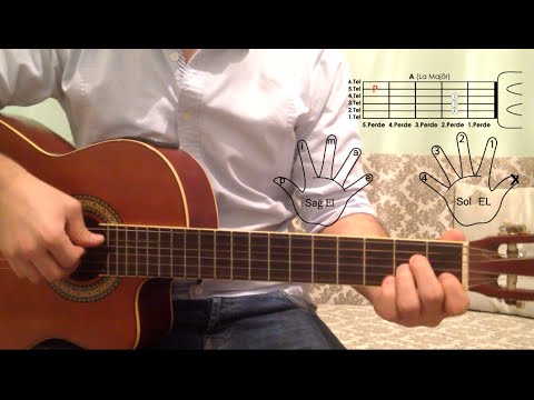 Gitarda Parmak, Tel, Perde İsimleri ve Nasıl Kullanıldıkları