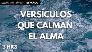 Las Promesas de Dios | Versiculos Biblicos Para Dormir