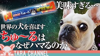 【中毒】犬はなぜ「ちゅ〜る」にどハマりするのか？いなばペットフードの巧妙な罠【フレンチブルドッグ】