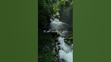سورة الشعراء القارئ عمر محجوب  #explore #edit #المصحف #قرآن