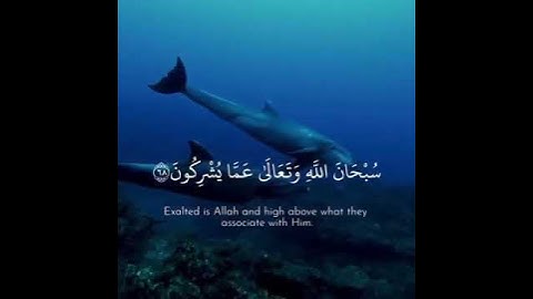 سورة القصص الآيات من (٦٨) إلى (٧٠)