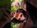 💖 Trending Love Song Lyrical Video Editing | Romantic Status Editing | Alight Motion Tutorial 2025