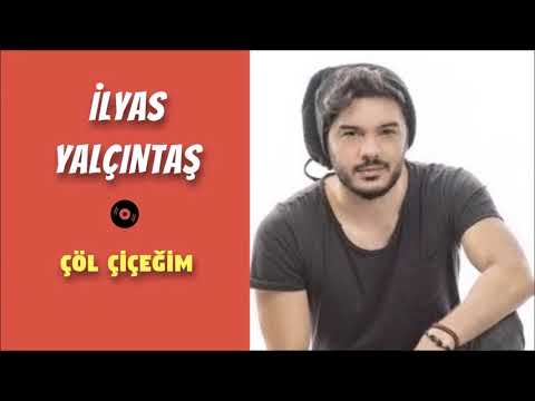 İlyas Yalçıntaş   Çöl Çiçeğim ( 2018 )